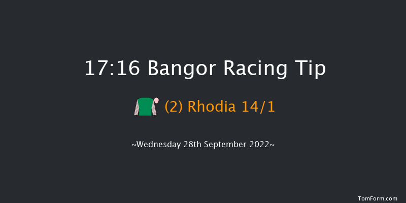 Bangor 17:16 NH Flat Race (Class 4) 17f Tue 23rd Aug 2022