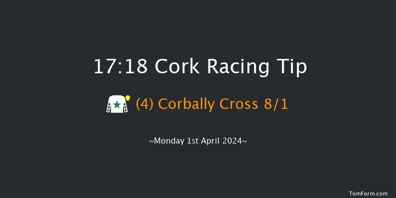 Cork  17:18 NH Flat Race 19f Sun 31st Mar 2024