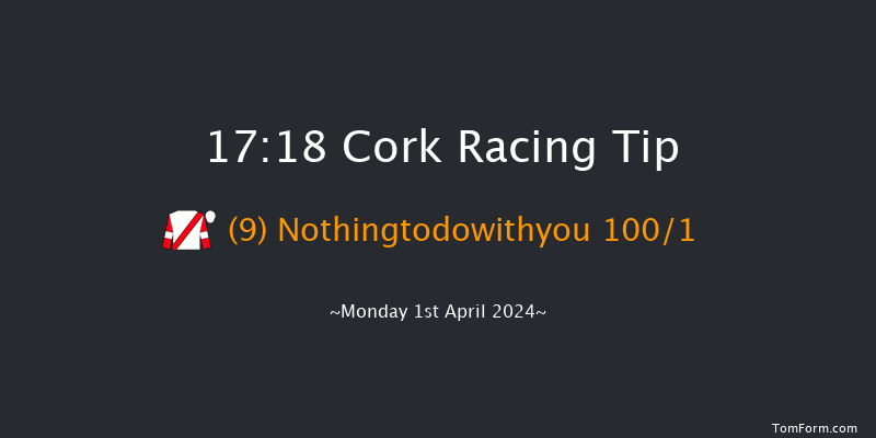 Cork  17:18 NH Flat Race 19f Sun 31st Mar 2024