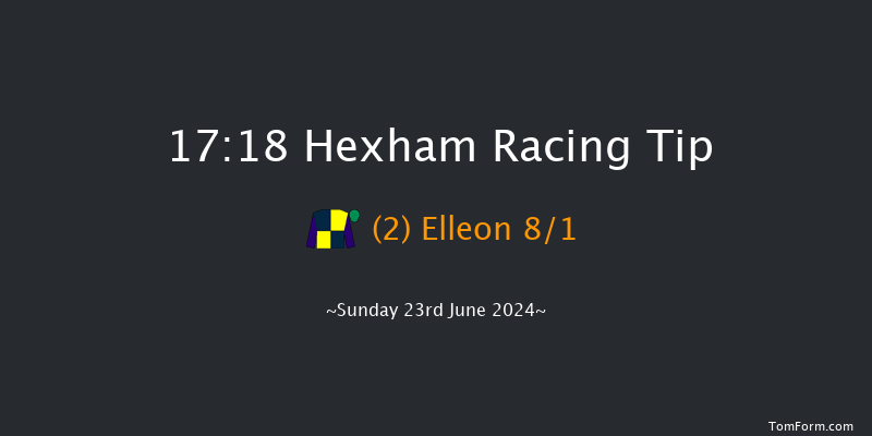 Hexham  17:18 Handicap Chase (Class 4) 20f Sat 15th Jun 2024