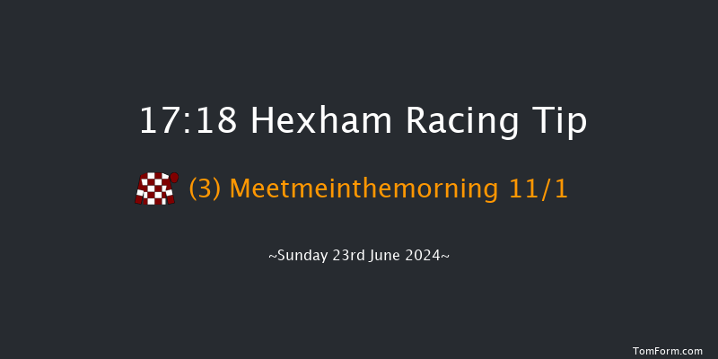 Hexham  17:18 Handicap Chase (Class 4) 20f Sat 15th Jun 2024