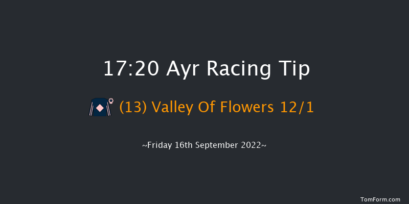 Ayr 17:20 Handicap (Class 5) 13f Thu 15th Sep 2022