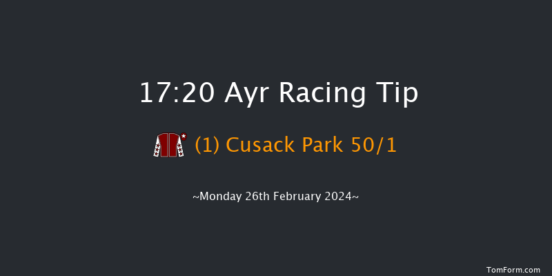 Ayr  17:20 NH Flat Race (Class 5) 16f Tue 13th Feb 2024