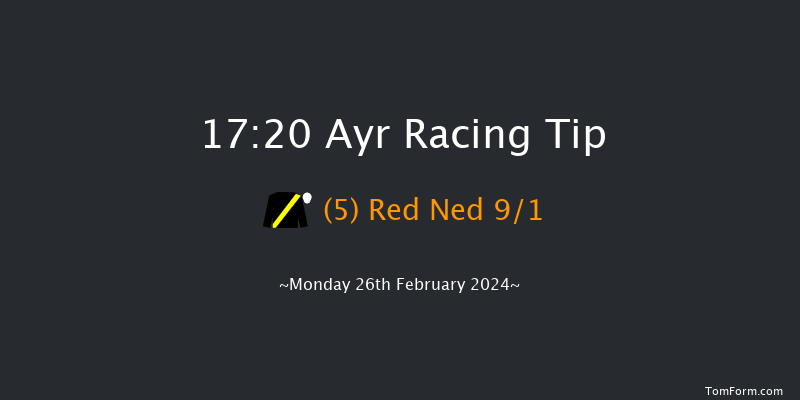 Ayr  17:20 NH Flat Race (Class 5) 16f Tue 13th Feb 2024