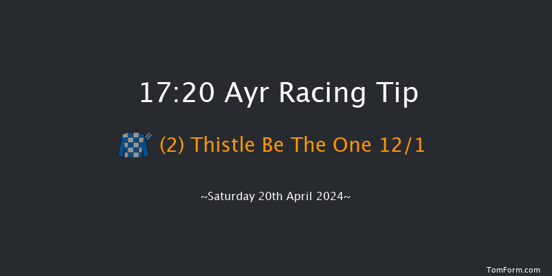 Ayr  17:20 NH Flat Race (Class 2) 16f Fri 19th Apr 2024