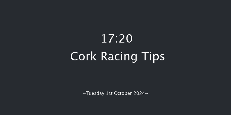 Cork  17:20 Handicap 8f Wed 11th Sep 2024