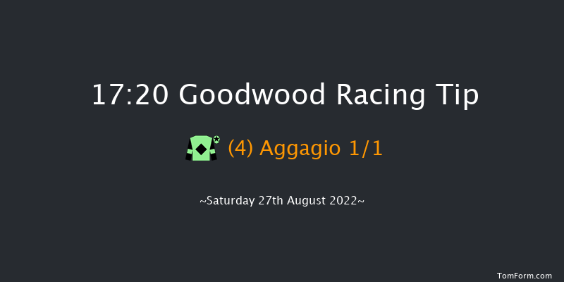 Goodwood 17:20 Handicap (Class 4) 14f Fri 26th Aug 2022