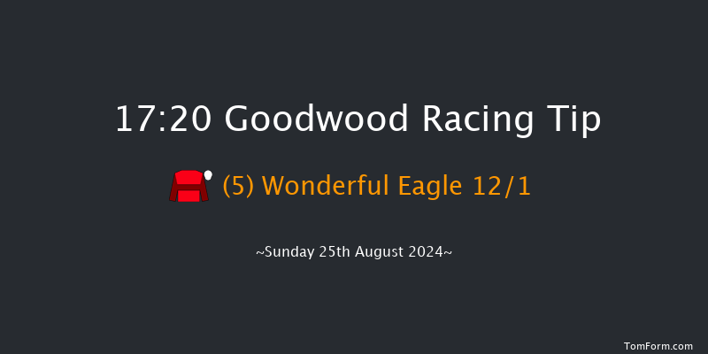 Goodwood  17:20 Handicap (Class 3) 16f  Sat 24th Aug 2024