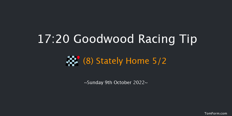 Goodwood 17:20 Handicap (Class 4) 8f Wed 21st Sep 2022