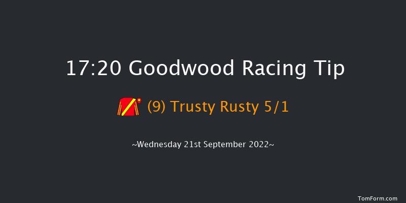 Goodwood 17:20 Handicap (Class 4) 5f Tue 6th Sep 2022