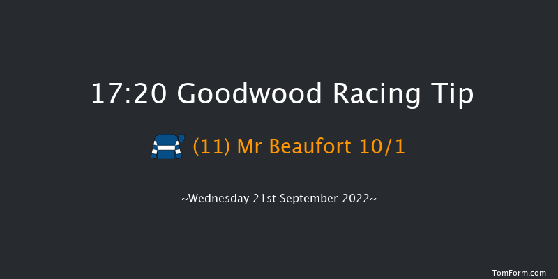 Goodwood 17:20 Handicap (Class 4) 5f Tue 6th Sep 2022