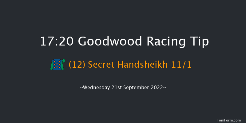 Goodwood 17:20 Handicap (Class 4) 5f Tue 6th Sep 2022