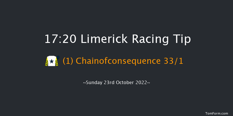 Limerick 17:20 NH Flat Race 16f Thu 21st Jul 2022