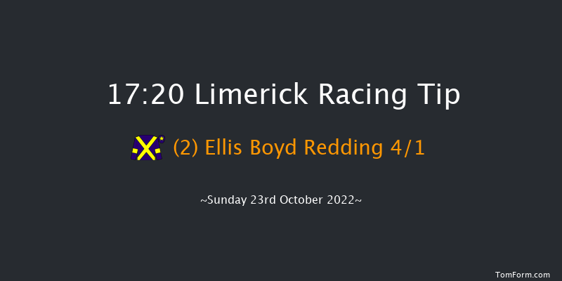 Limerick 17:20 NH Flat Race 16f Thu 21st Jul 2022