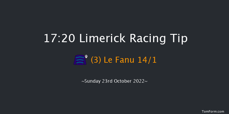 Limerick 17:20 NH Flat Race 16f Thu 21st Jul 2022