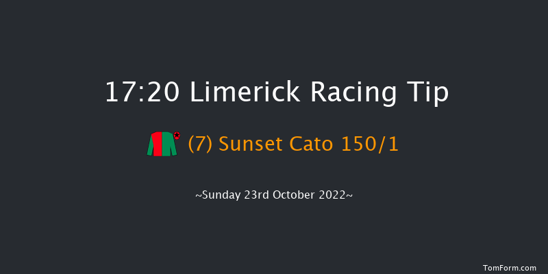 Limerick 17:20 NH Flat Race 16f Thu 21st Jul 2022