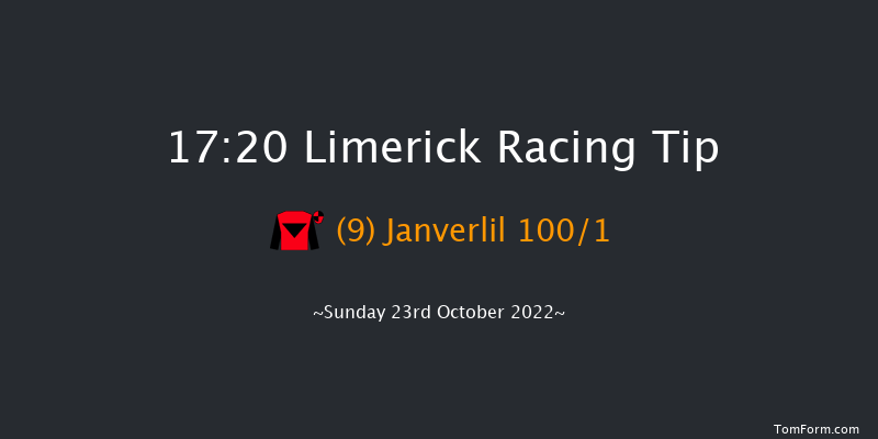 Limerick 17:20 NH Flat Race 16f Thu 21st Jul 2022