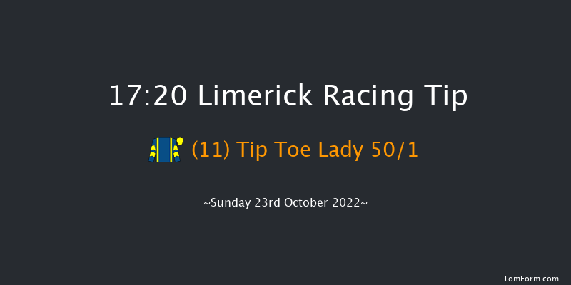 Limerick 17:20 NH Flat Race 16f Thu 21st Jul 2022