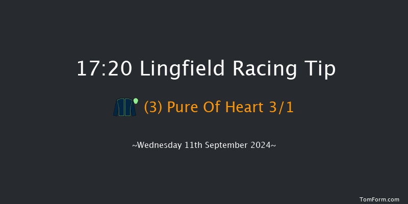 Lingfield  17:20 Handicap (Class 5) 12f Tue 10th Sep 2024