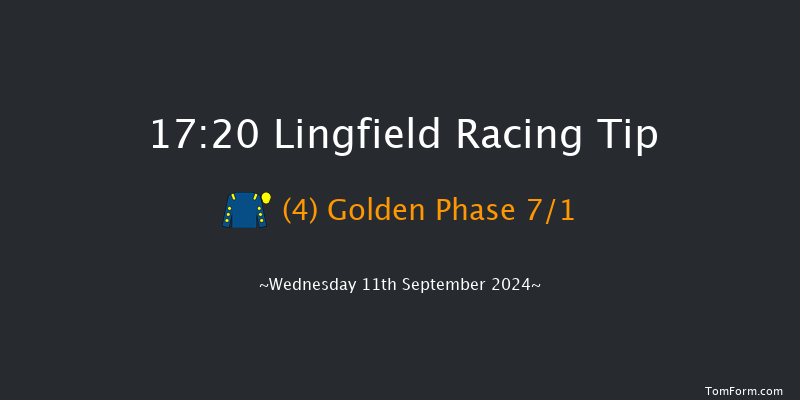 Lingfield  17:20 Handicap (Class 5) 12f Tue 10th Sep 2024