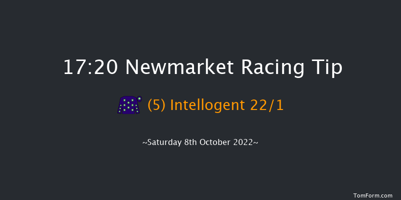 Newmarket 17:20 Group 3 (Class 1) 9f Fri 7th Oct 2022