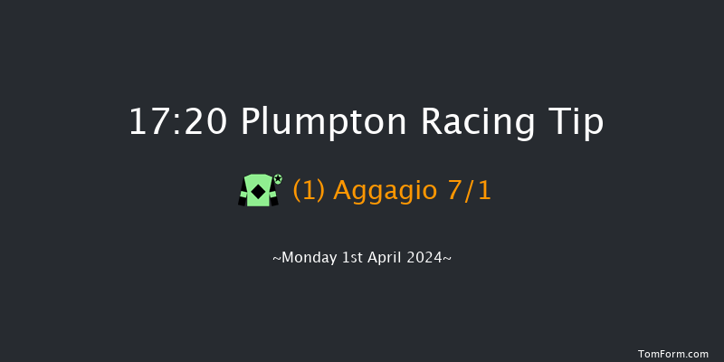 Plumpton  17:20 Handicap Chase (Class 4)
17f Sun 31st Mar 2024