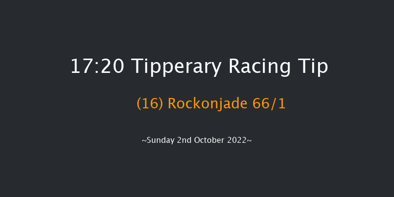 Tipperary 17:20 NH Flat Race 16f Fri 26th Aug 2022