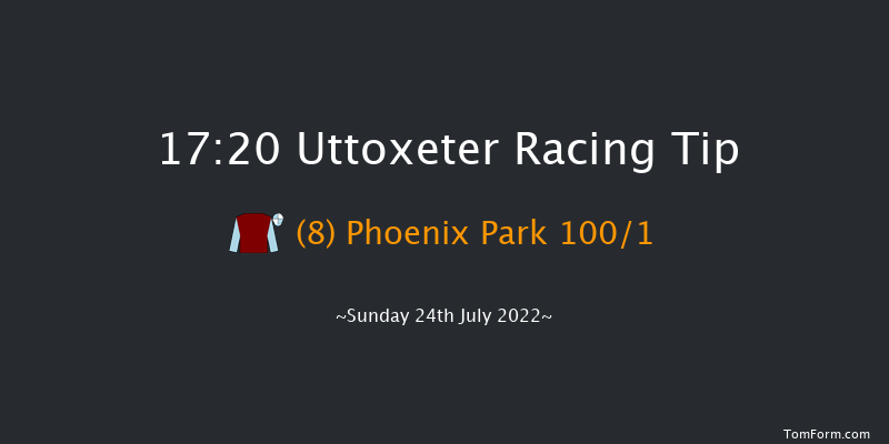 Uttoxeter 17:20 Handicap Hurdle (Class 5) 20f Fri 22nd Jul 2022