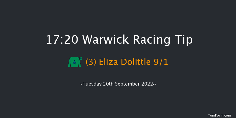 Warwick 17:20 NH Flat Race (Class 5) 16f Wed 25th May 2022