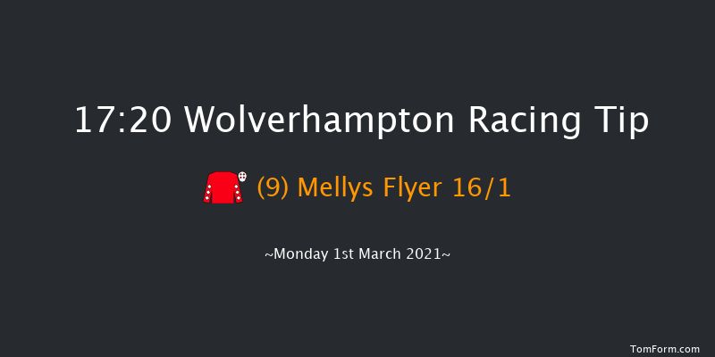 Betway Novice Stakes Wolverhampton 17:20 Stakes (Class 5) 6f Fri 26th Feb 2021