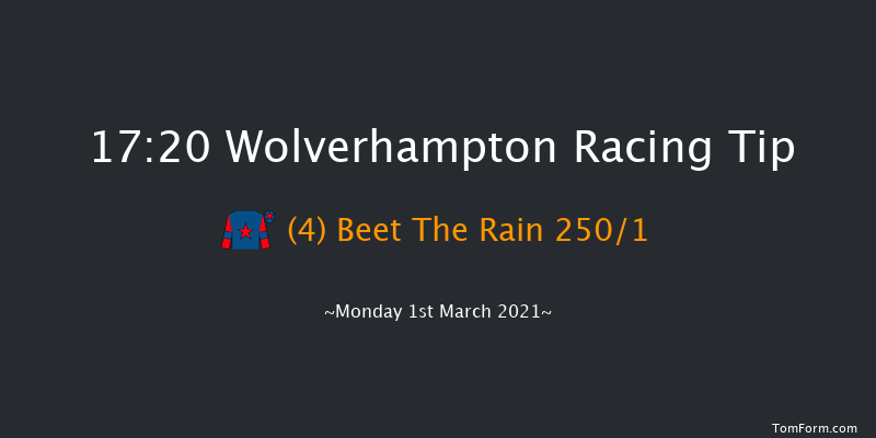 Betway Novice Stakes Wolverhampton 17:20 Stakes (Class 5) 6f Fri 26th Feb 2021