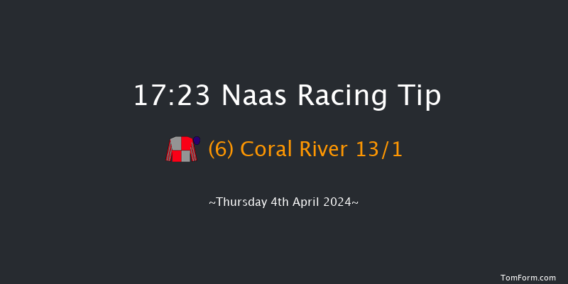 Naas  17:23 NH Flat Race 16f Sun 24th Mar 2024