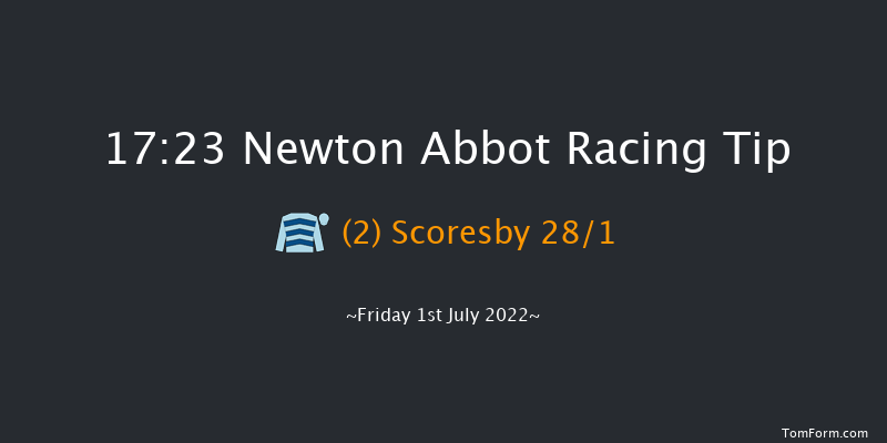 Newton Abbot 17:23 NH Flat Race (Class 5) 17f Tue 21st Jun 2022