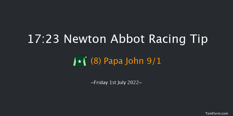 Newton Abbot 17:23 NH Flat Race (Class 5) 17f Tue 21st Jun 2022