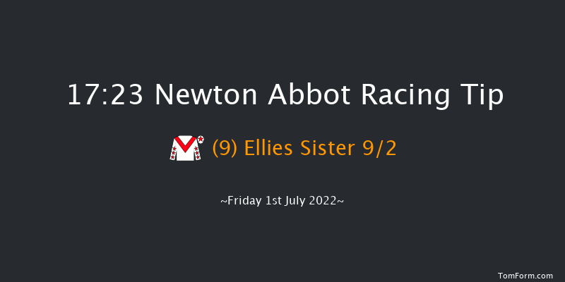 Newton Abbot 17:23 NH Flat Race (Class 5) 17f Tue 21st Jun 2022