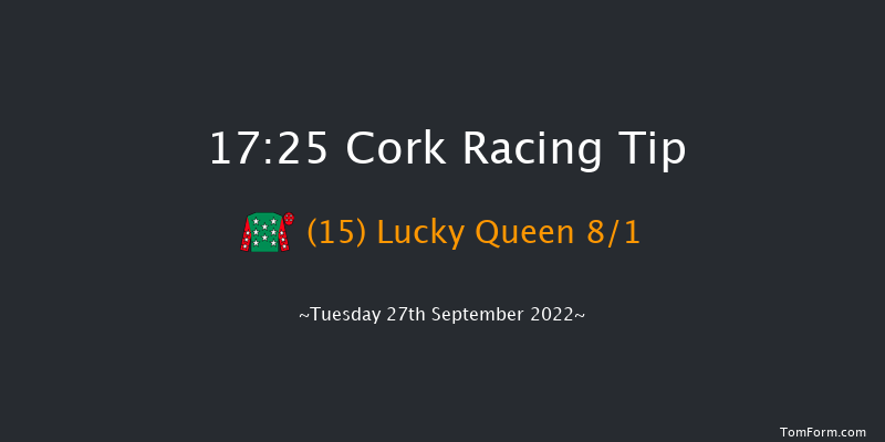 Cork 17:25 Handicap 8f Wed 7th Sep 2022