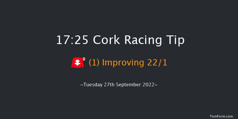 Cork 17:25 Handicap 8f Wed 7th Sep 2022