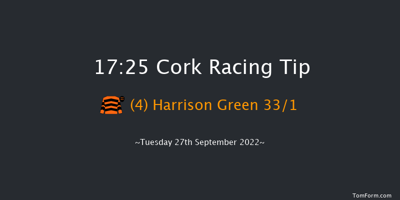 Cork 17:25 Handicap 8f Wed 7th Sep 2022