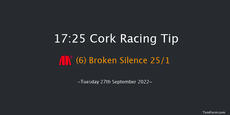 Cork 17:25 Handicap 8f Wed 7th Sep 2022