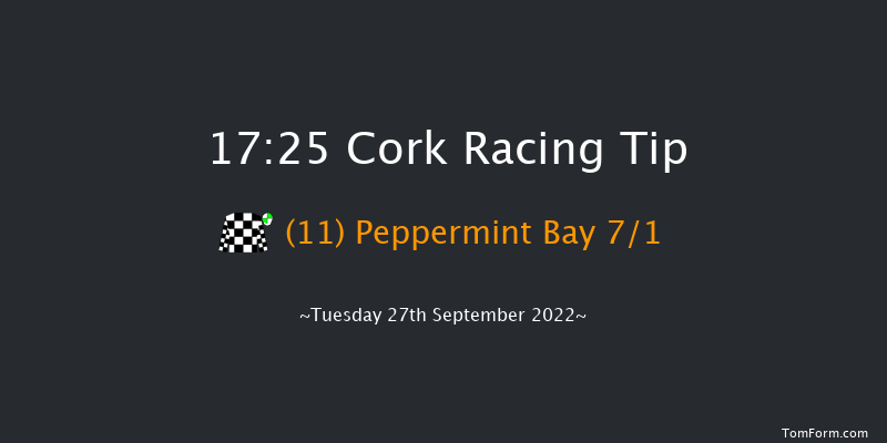 Cork 17:25 Handicap 8f Wed 7th Sep 2022