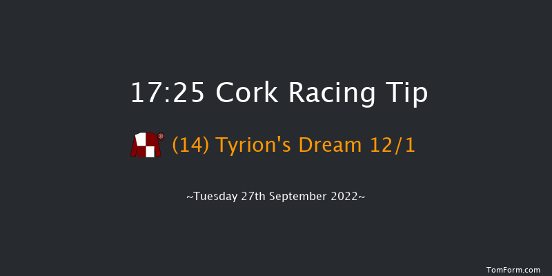 Cork 17:25 Handicap 8f Wed 7th Sep 2022