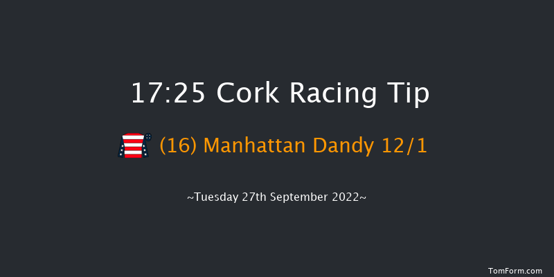 Cork 17:25 Handicap 8f Wed 7th Sep 2022