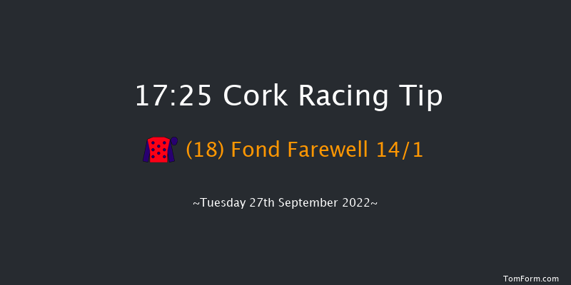 Cork 17:25 Handicap 8f Wed 7th Sep 2022