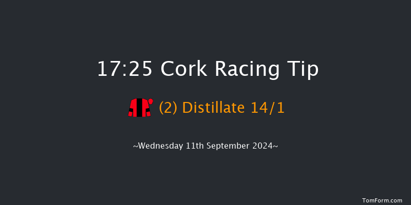 Cork  17:25 Handicap 7f Fri 16th Aug 2024