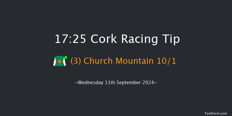 Cork  17:25 Handicap 7f Fri 16th Aug 2024