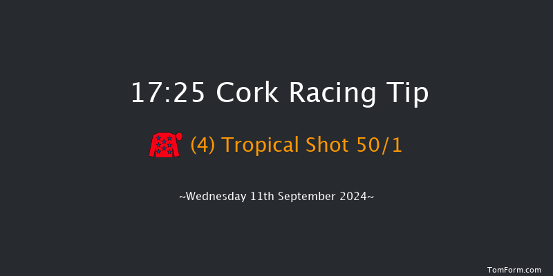 Cork  17:25 Handicap 7f Fri 16th Aug 2024