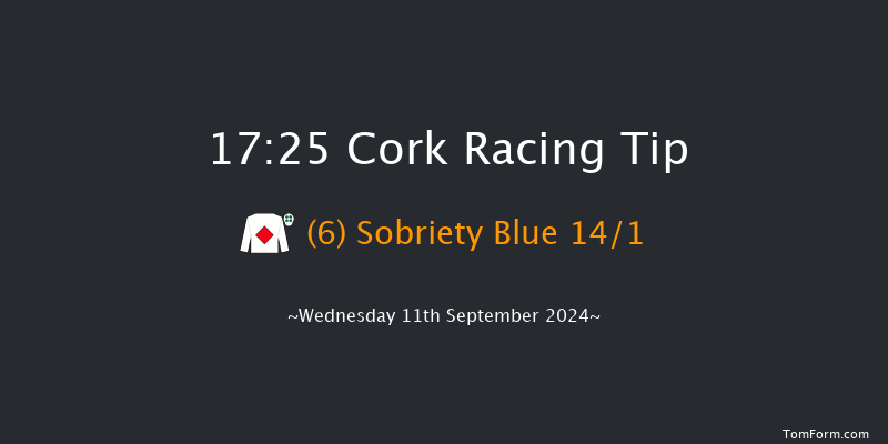 Cork  17:25 Handicap 7f Fri 16th Aug 2024