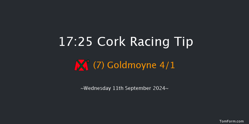 Cork  17:25 Handicap 7f Fri 16th Aug 2024