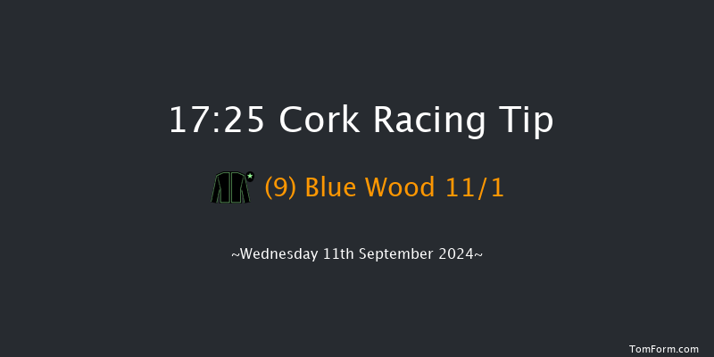 Cork  17:25 Handicap 7f Fri 16th Aug 2024