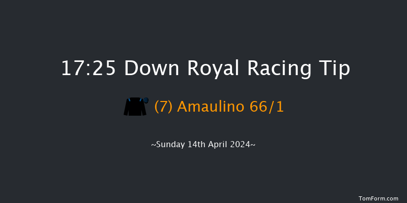 Down Royal  17:25 Handicap Chase 26f Sun 17th Mar 2024